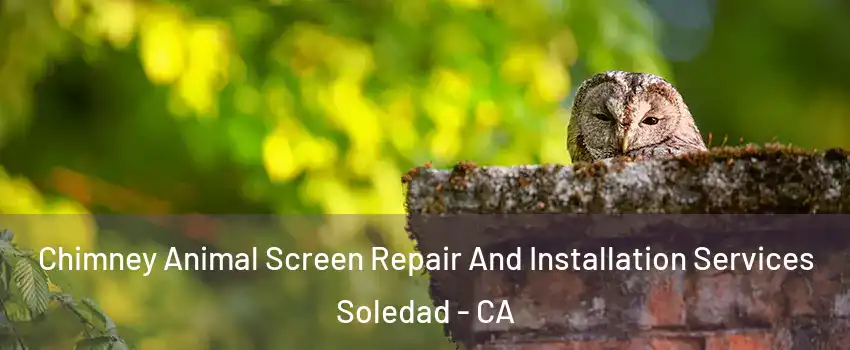  Chimney Animal Screen Repair And Installation Services Soledad - CA