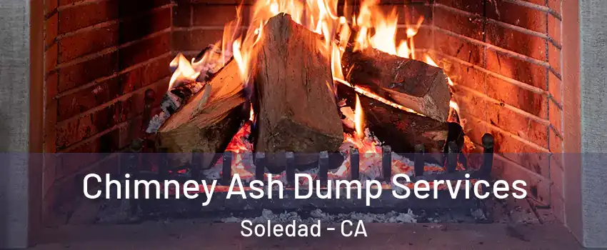  Chimney Ash Dump Services Soledad - CA