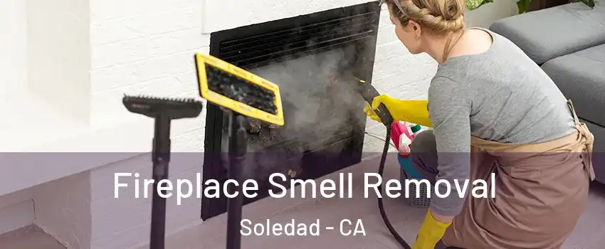  Fireplace Smell Removal Soledad - CA