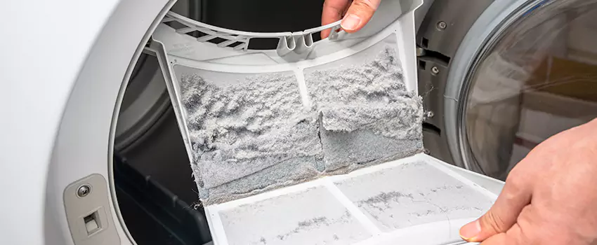 Best Dryer Lint Removal Company in Soledad, California