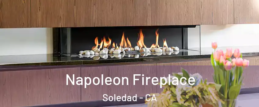  Napoleon Fireplace Soledad - CA